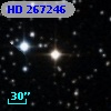 HD 267246