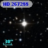 HD 267288