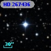 HD 267436