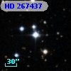 HD 267437
