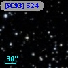[SC93] 524