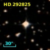 HD 292825