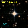 HD 289444