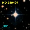 HD 289407