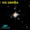 HD 289464