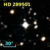 HD 289501