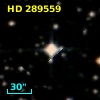 HD 289559