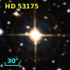 HD  53175