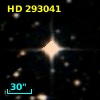 HD 293041