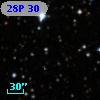 28P  30