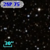 28P  75