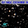 Cl* NGC 2324    BSF      50