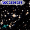 NGC  2324   257