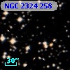 NGC  2324   258