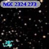 NGC  2324   273