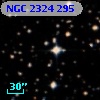 NGC  2324   295