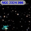 NGC  2324   300