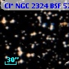 Cl* NGC 2324    BSF      57