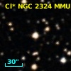 Cl* NGC 2324    MMU    2217