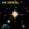 HD 292836