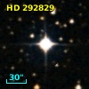 HD 292829