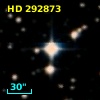 HD 292873