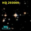 HD 293009