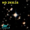 HD 293116