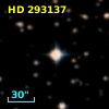 HD 293137