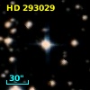 HD 293029