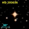 HD 293036