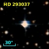 HD 293037