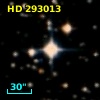HD 293013