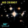 HD 293007