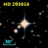 HD 293016