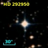 HD 292950