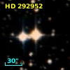 HD 292952