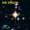 HD 296236