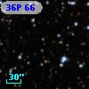 36P 66