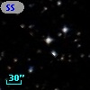 SS  76