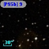 [P85b]  9