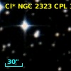 Cl* NGC 2323    CPL      31