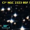 Cl* NGC 2323    BSF      57
