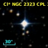 Cl* NGC 2323    CPL      37