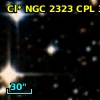 Cl* NGC 2323    CPL      39