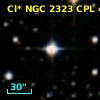 Cl* NGC 2323    CPL      41