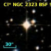 Cl* NGC 2323    BSF      95