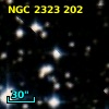 Cl* NGC 2323    BSF     108