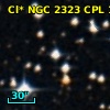 Cl* NGC 2323    CPL     157