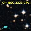Cl* NGC 2323    CPL      45